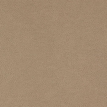 Tolstoy Quarry WTL-012 by Nassimi Fabric See sample 100% Polyurethane USA or Imported Water-based cleaning agents and foam may be used for cleaning. Cleaning by a professional cleaning service is recommended. 54 - Fabric Carolina -