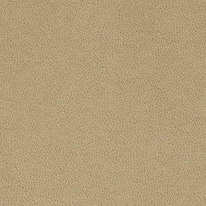Tolstoy Rye by Nassimi Fabric