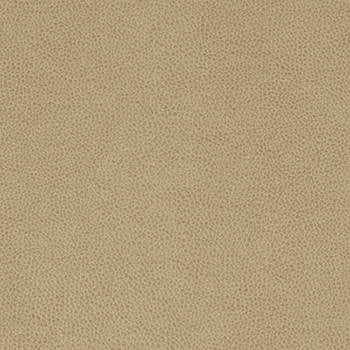 Tolstoy Rye WTL-014 by Nassimi Fabric See sample 100% Polyurethane USA or Imported Water-based cleaning agents and foam may be used for cleaning. Cleaning by a professional cleaning service is recommended. 54 - Fabric Carolina -