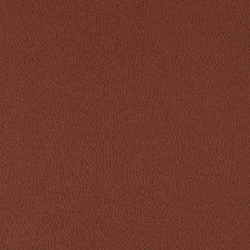 Tolstoy Syrah WTL-015 by Nassimi Fabric See sample 100% Polyurethane USA or Imported Water-based cleaning agents and foam may be used for cleaning. Cleaning by a professional cleaning service is recommended. 54 - Fabric Carolina -