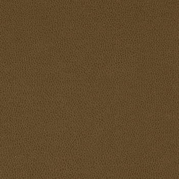 Tolstoy Timber WTL-016 by Nassimi Fabric See sample 100% Polyurethane USA or Imported Water-based cleaning agents and foam may be used for cleaning. Cleaning by a professional cleaning service is recommended. </p><p>Repeat: Horizontal: and Vertical: 54" - Fabric Carolina -