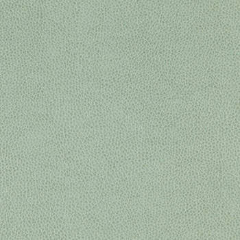 Tolstoy Vista WTL-017 by Burch Fabric our website for purchase 100% Polyurethane USA or Asia Water-based cleaning agents and foam may be used for cleaning. This fabric may also be cleaned with mild, water-free solvents. Cleaning by a professional cleaning service is recommended. Horizontal: - and Vertical: - 54" - Fabric Carolina -