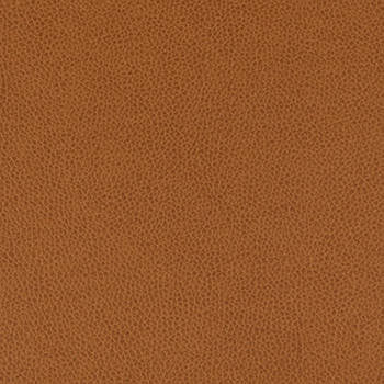 Tolstoy Whiskey WTL-018 by Nassimi Fabric See sample 100% Polyurethane USA or Imported Water-based cleaning agents and foam may be used for cleaning. Cleaning by a professional cleaning service is recommended. </p><p>Repeat: Horizontal: and Vertical: 54" - Fabric Carolina -