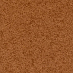 Tolstoy Whiskey by Nassimi Fabric