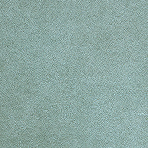 Traveler Sea Biscuit by Nassimi Fabric