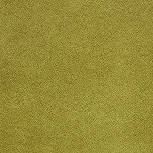 Traveler Sprout by Nassimi Fabric