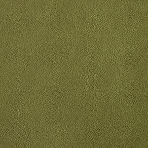 Traveler Thyme by Nassimi Fabric