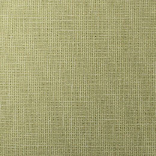 Turks - Lime by Europatex Fabric Turks & Caicos 91% Polyester, 9% Cotton China See Sample Horizontal: N/A and Vertical: N/A 55.00 inches  - Fabric Carolina -
