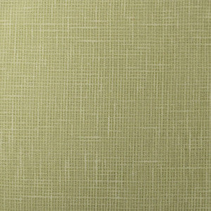 Turks Lime by Europatex Fabric