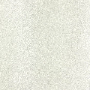 Twain Shire by Nassimi Fabric