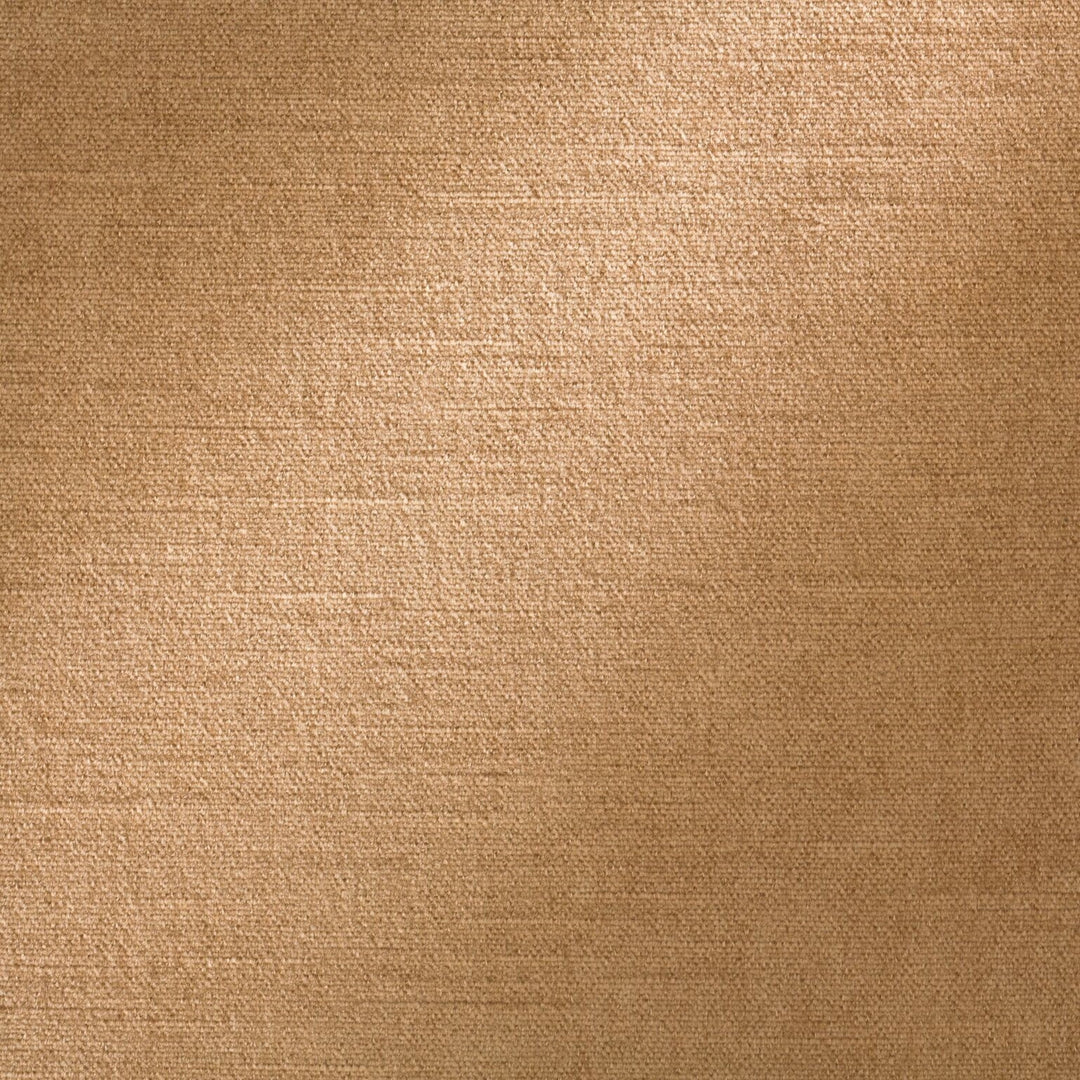 ROYAL SILK MOHAIR VELVET - Light Raisin By Coraggio Fabric