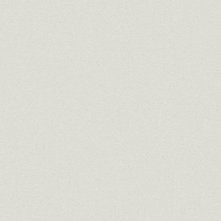 Uprush # 629 Snowflake by Maxwell Designer Fabric Home & Garden-Act Viii 100% SOLUTION DYED POLYOLEFIN INDIA 57.1" - Swanky Fabrics -