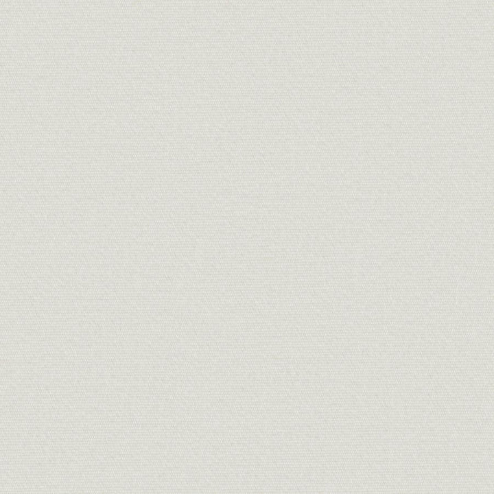 Uprush # 629 Snowflake by Maxwell Fabric Home & Garden-Act Viii 100% SOLUTION DYED POLYOLEFIN INDIA 57.1" - Fabric Carolina -