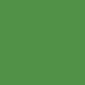 Uprush # 651 Grass by Maxwell Fabric
