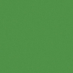 Uprush # 651 Grass by Maxwell Fabric