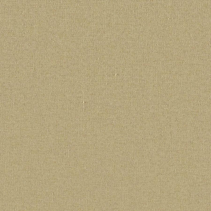Umbra # 260 Olive by Maxwell Fabric Blackout Iii FACE: 100% POLYESTER
BACKING: ACRYLIC CHINA 55" - Fabric Carolina -