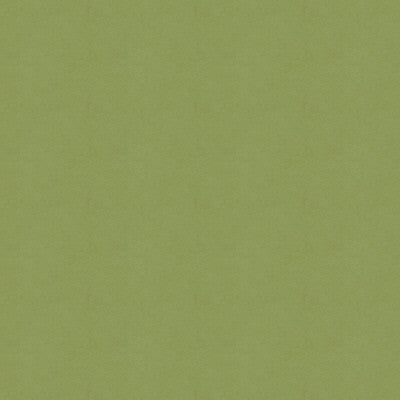 Ultrasoft Moss by Kravet Design Fabric ULTRASUEDE POLYESTER - 100% Japan MEDIUM Horizontal: 0 and Vertical: 0 45 - Fabric Carolina -