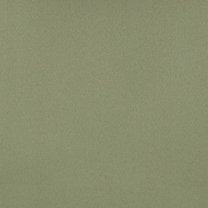 Umbra Sage by Magnolia Fabric