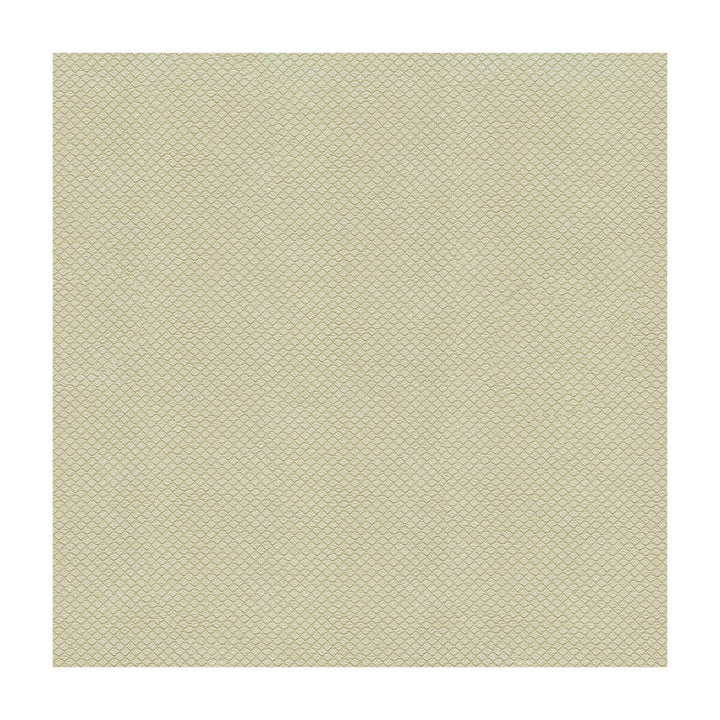 Unica-16 by Kravet Design Fabric POLYURETHANE - 100% Japan HEAVY Horizontal: and Vertical: 54 - Fabric Carolina -