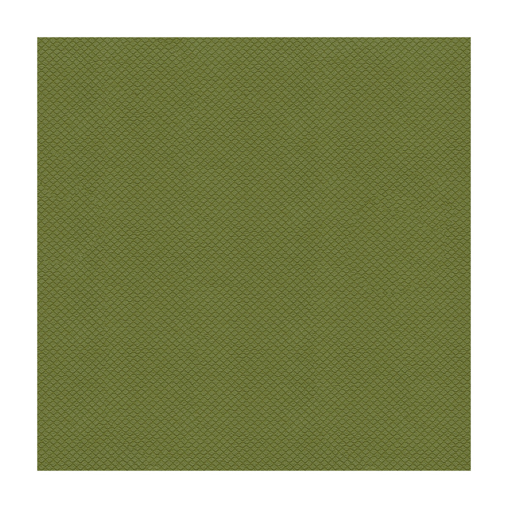 Unica-3 by Kravet Design Fabric POLYURETHANE - 100% Japan HEAVY Horizontal: and Vertical: 54 - Fabric Carolina -