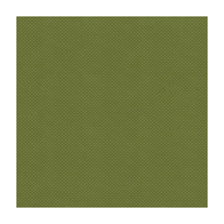 Unica-3 by Kravet Design Fabric POLYURETHANE - 100% Japan HEAVY Horizontal: and Vertical: 54 - Fabric Carolina -