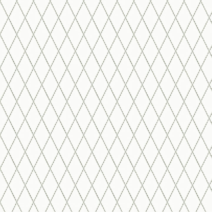 Unique 2 Chrome by Stout Fabric COMFORTABLE LIVING SHADOW/SLATE 100%COT INDIA Horizontal: 2.125 and Vertical: 4.25 51.5 in - Fabric Carolina -