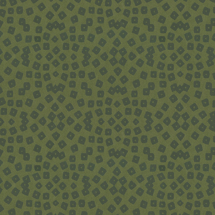 Identity 27 Olive by Endurepel Fabric 100% Polyester China 160,000 Double Rubs (Wyzenbeek) </p><p>Repeat: Horizontal: 8.1" (20.5 cm) Up the Roll and Vertical: 7.6" (19.2 cm) Across the Roll 55" (140 cm) - Fabric Carolina -