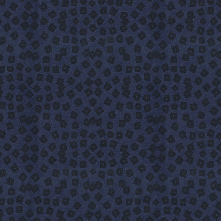 Identity 308 Midnight by Endurepel Fabric 100% Polyester China 160,000 Double Rubs (Wyzenbeek) </p><p>Repeat: Horizontal: 8.1" (20.5 cm) Up the Roll and Vertical: 7.6" (19.2 cm) Across the Roll 55" (140 cm) - Fabric Carolina -