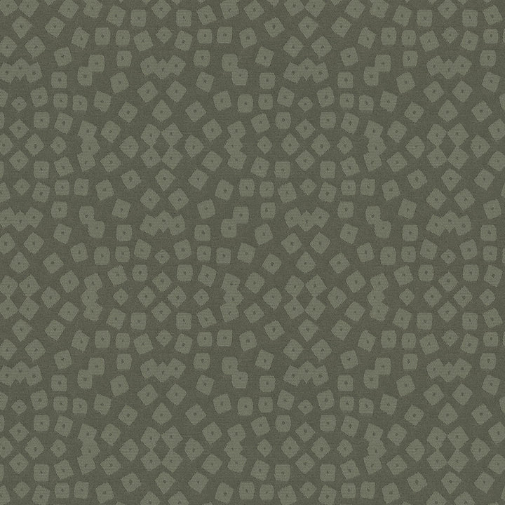 Identity 6009 Aspen by Endurepel Fabric N/A 100% Polyester China 160,000 Double Rubs </p><p>Repeat: Horizontal: 7.6" (19.2 cm) Across the Roll and Vertical: 8.1" (20.5 cm) Up the Roll 55" (140 cm) - Fabric Carolina -