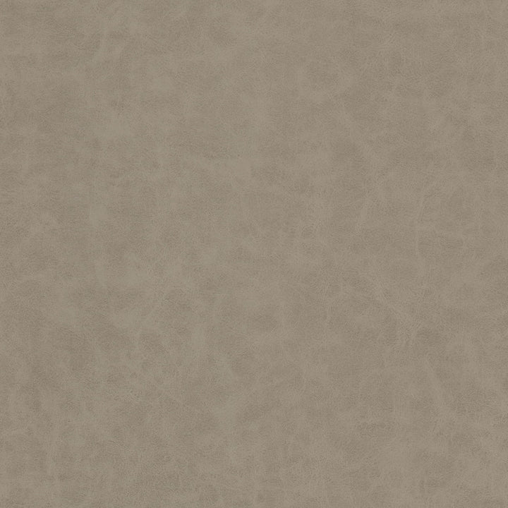 Unveil 1 Ash by Stout Fabric Stout Fabric Unveil 1 AshFabric LEATHER LOOKS V 100%PVC 1%OTH KOREA </p><p>Repeat: H: 0.000, V: 0.000 54 in - Fabric Carolina -