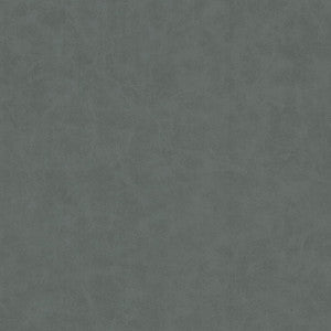 Unveil 2 Zinc by Stout Fabric
