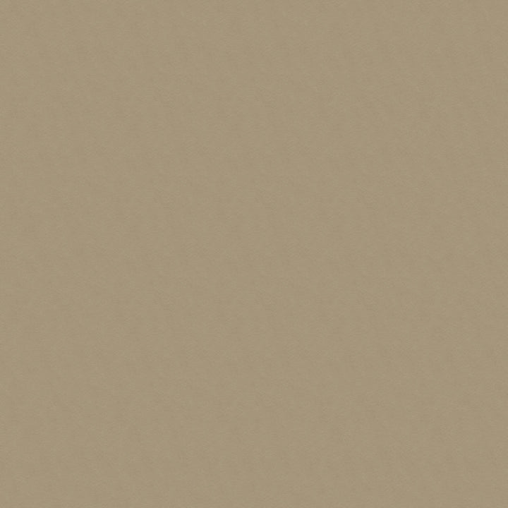 Marvin 6009 Taupe by ABBEYSHEA Fabric 100% Polyester China 100,000 Double Rubs (Wyzenbeek) </p><p>Repeat: Horizontal: and Vertical: 57" (144 cm) - Fabric Carolina -