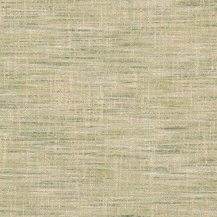 Ursa 1 Chartreuse by Stout Fabric Stout Fabric Ursa 1 ChartreuseFabric RAINBOW LIBRARY PISTACHIO/CHIVE 57%COT 43%POL INDIA </p><p>Repeat: H: 0.000, V: 0.000 54 in - Fabric Carolina -