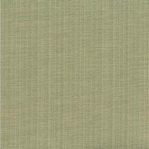 Utopia Celery 732 by Norbar Fabric 84% POLYESTER 16% COTTON INDIA 30,000 WYZENBEEK </p><p>Repeat: 54" - Fabric Carolina -