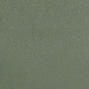 Ultra Olive Tree SUL-021 by Burch Fabric See sample 100% Polyurethane USA or Imported Water-based cleaning agents and foam may be used for cleaning. Cleaning by a professional cleaning service is recommended. 54 - Fabric Carolina -