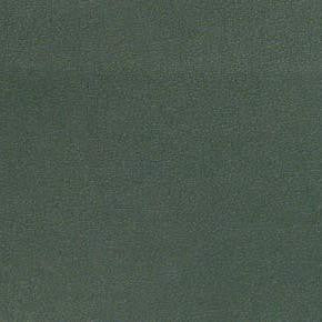 Ultra Racing Green SUL-022 by Burch Fabric See sample 100% Polyurethane USA or Imported Water-based cleaning agents and foam may be used for cleaning. Cleaning by a professional cleaning service is recommended. 54 - Fabric Carolina -