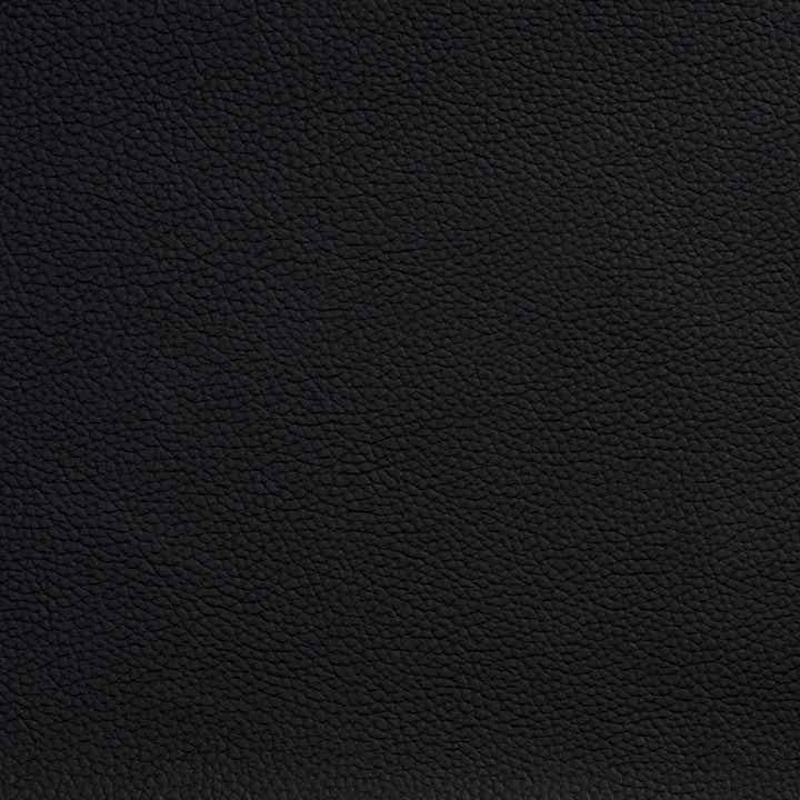 V101 Kitoni Black by Charlotte Fabric Value Vinyl 100% Vinyl, 29oz. Lead Free Asia Exceeds 100,000 Wyzenbeek Rubs (Heavy Duty) No Repeat 54 Inches - Fabric Carolina -