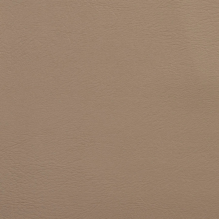 V109 Sand by Charlotte Fabric Value Vinyl 100% Vinyl, 29oz. Asia Exceeds 100,000 Wyzenbeek Rubs (Heavy Duty) </p><p>Repeat: 54 Inches - Fabric Carolina -