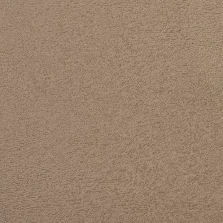 V109 Sand by Charlotte Designer Fabric Value Vinyl 100% Vinyl, 29oz. Asia Exceeds 100,000 Wyzenbeek Rubs (Heavy Duty) </p><p>Repeat: 54 Inches - Swanky Fabrics -