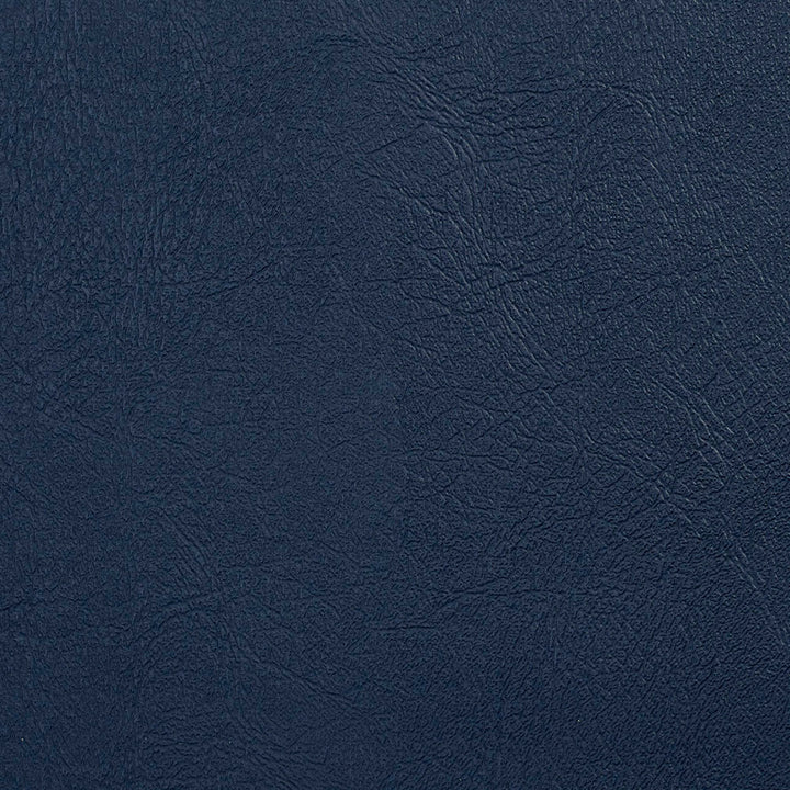 V119 Baltic by Charlotte Designer Fabric Value Vinyl 100% Vinyl, 29oz. Lead Free Asia Exceeds 100,000 Wyzenbeek Rubs (Heavy Duty) No Repeat 54 Inches - Swanky Fabrics -