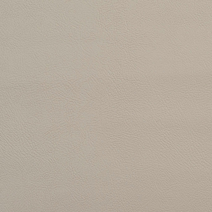 V120 Pebble by Charlotte Designer Fabric Value Vinyl 100% Vinyl, 29oz. Lead Free Asia Exceeds 100,000 Wyzenbeek Rubs (Heavy Duty) No Repeat 54 Inches - Swanky Fabrics -