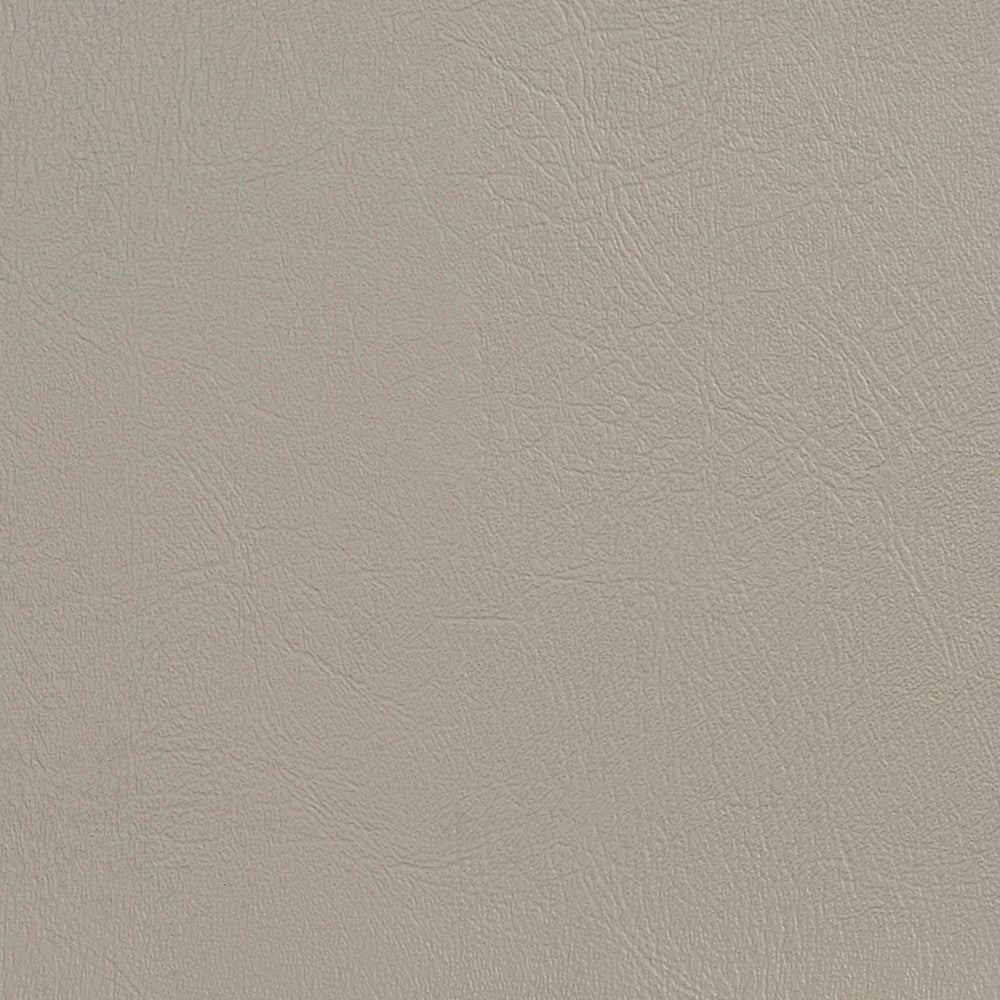 V130 Zinc by Charlotte Fabric Value Vinyl 100% Vinyl, 29oz. Asia Exceeds 100,000 Wyzenbeek Rubs (Heavy Duty) </p><p>Repeat: No Repeat 54 Inches - Fabric Carolina -