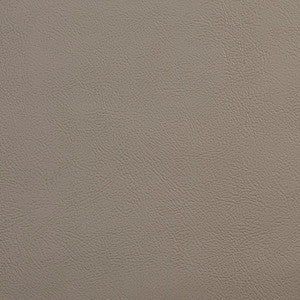 V134 Slate by Charlotte Fabric
