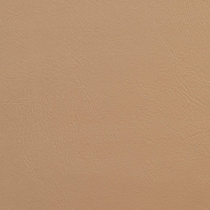 V139 Buff by Charlotte Fabric Value Vinyl 100% Vinyl, 29oz. Asia Exceeds 100,000 Wyzenbeek Rubs (Heavy Duty) </p><p>Repeat: No Repeat 54 Inches - Fabric Carolina -