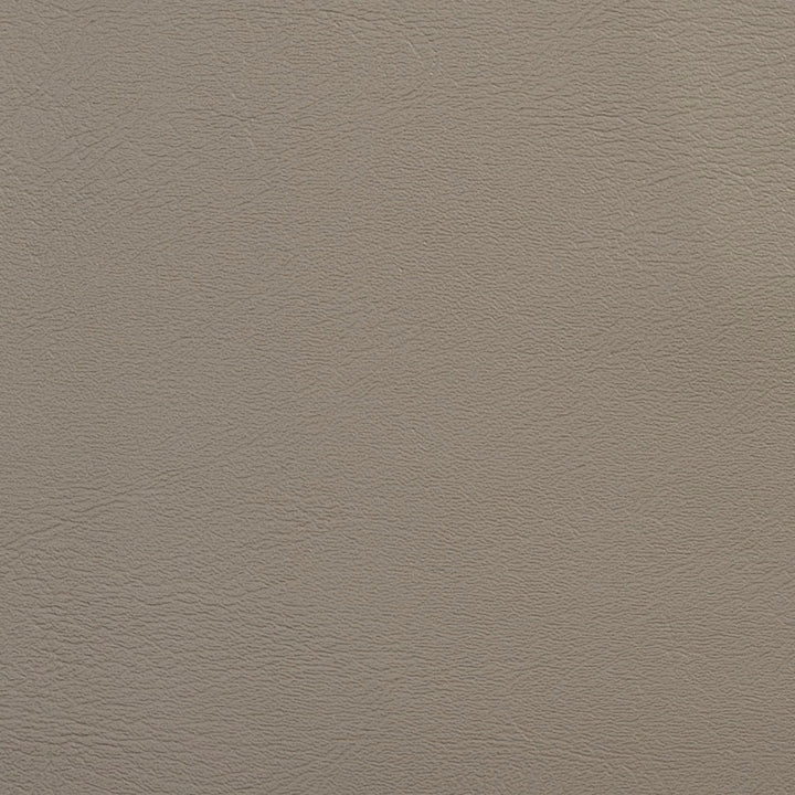 V141 Mushroom by Charlotte Fabric Value Vinyl 100% Vinyl, 29oz. Lead Free Asia Exceeds 100,000 Wyzenbeek Rubs (Heavy Duty) No Repeat 54 Inches - Fabric Carolina -