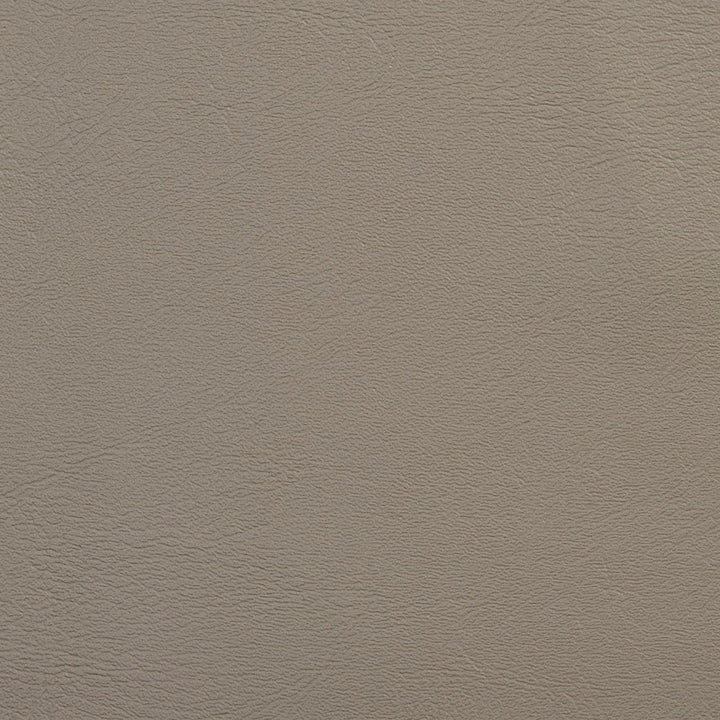 V141 Mushroom by Charlotte Designer Fabric Value Vinyl 100% Vinyl, 29oz. Lead Free Asia Exceeds 100,000 Wyzenbeek Rubs (Heavy Duty) No Repeat 54 Inches - Swanky Fabrics -