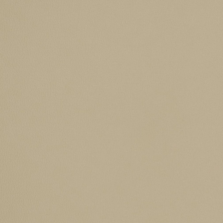 V159 Khaki by Charlotte Fabric 4-Way Stretch 100% Vinyl Asia Exceeds 100,000 Wyzenbeek Rubs (Heavy Duty) </p><p>Repeat: No Repeat 54 Inches - Fabric Carolina -