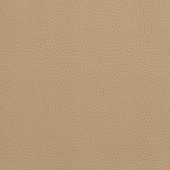 V160 Desert by Charlotte Fabric 4-Way Stretch 100% Vinyl Asia Exceeds 100,000 Wyzenbeek Rubs (Heavy Duty) </p><p>Repeat: 54 Inches - Fabric Carolina -
