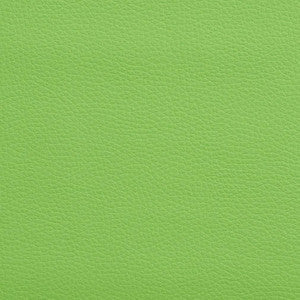 V164 Lime by Charlotte Fabric