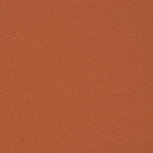 V203 Sienna by Charlotte Fabric